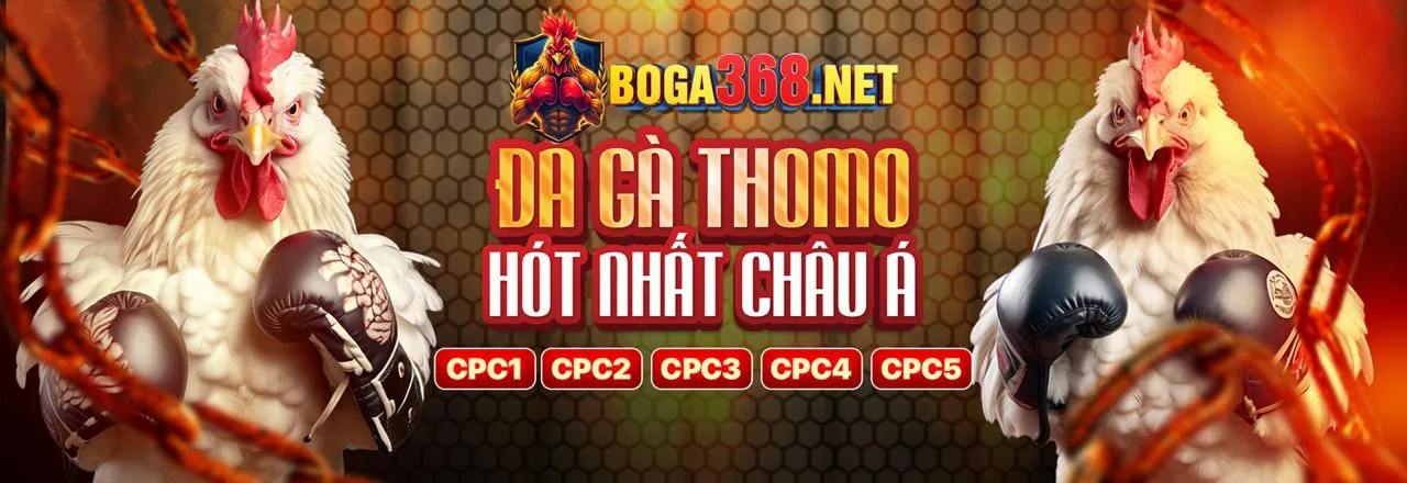 Hình ảnh chính về Điều khoản Dịch vụ của bj388 Đá Gà