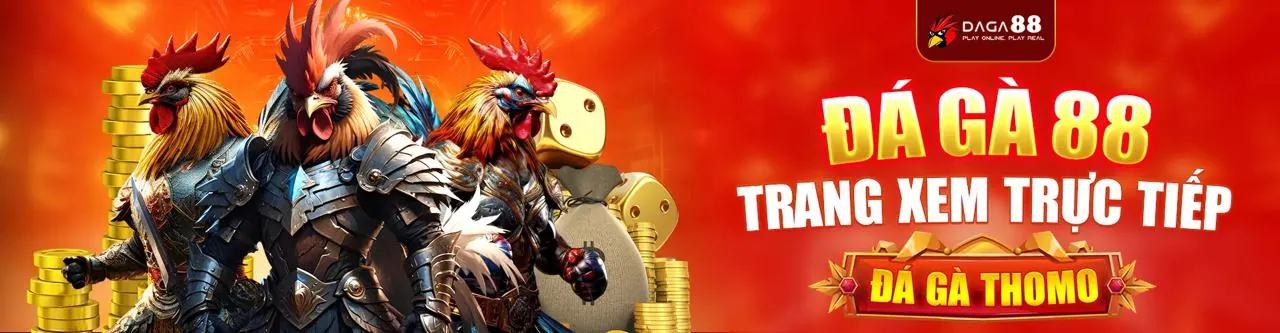 Đấu trường đá gà BJ388 trực tuyến với gà chiến và người chơi