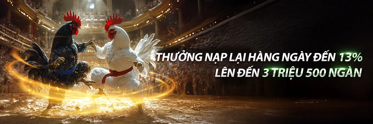 Đá gà trực tuyến BJ388, sàn đấu sôi động