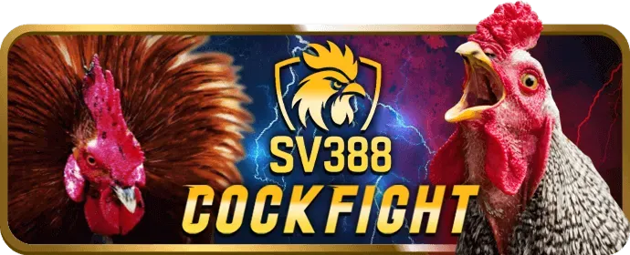 Mẫu đăng nhập an toàn của bj388 đá gà